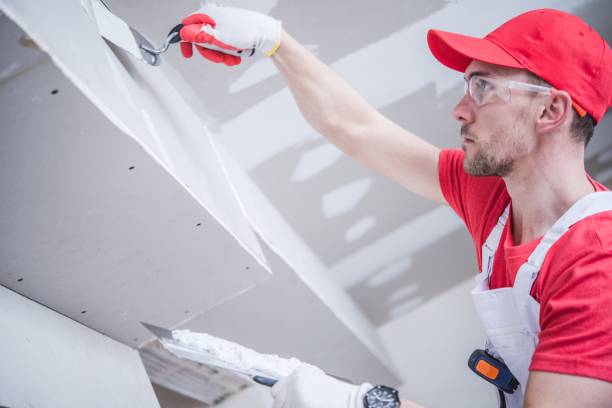 Best Drywall for Remodeling  in USA